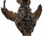 Bunocephalus kneri Банджо риба