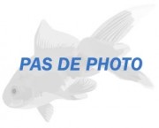 Copella arnoldi Характер Droser